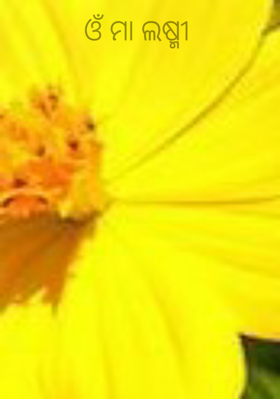 ଓଁ ମା ଲଷ୍ମୀ