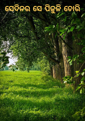 ସେଦିନର ସେ ପିଜୁଳି ଚୋରି