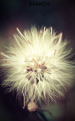 Barren