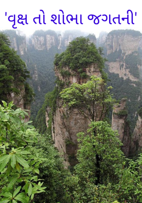 વૃક્ષ તો શોભા જગતની