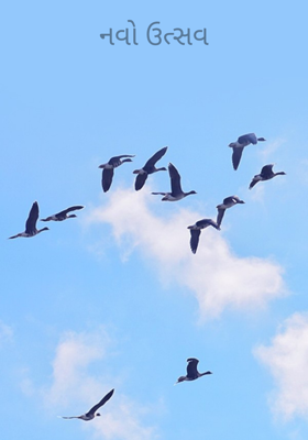 નવો ઉત્સવ