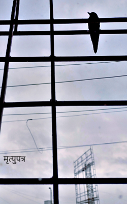 मृत्युपत्र