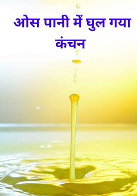 ओस पानी में घुल गया   कंचन