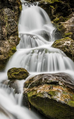 ନବ ପଲ୍ଲବିତ ବର୍ଷା ଆଗମନ