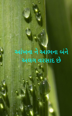 અલગ વરસાદ છે