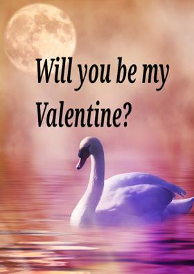 Will You Be My Valentine?