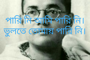 পারি নি আমি পারি নি।
ভুলতে তোমায় পারি নি।