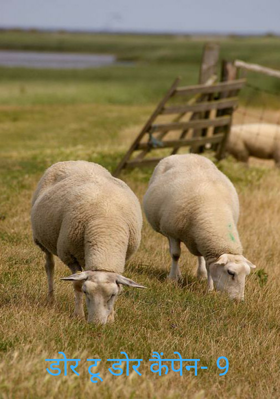 डोर टू डोर कैंपेन- 9