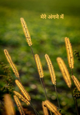 मेरे अंगने में