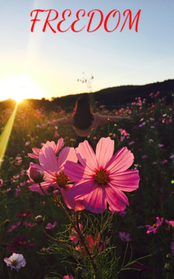 Freedom