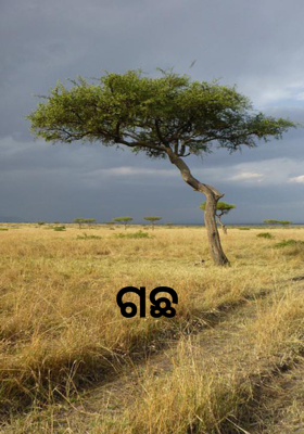 ଗଛ