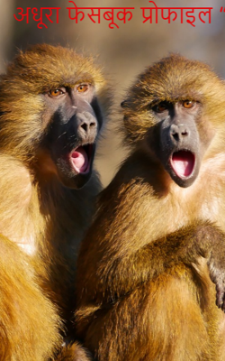 अधूरा फेसबूक प्रोफाइल