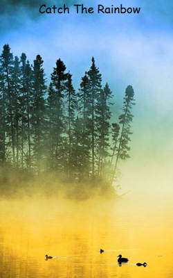 Catch The Rainbow