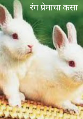 रंग प्रेमाचा कसा