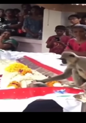 ଖୁସି ମାଲିକ ଓ ଭୃତ୍ଯର