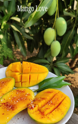 Mango Love