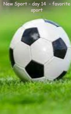 New Sport - day 14  - favorite sport
