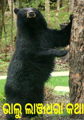 ଭାଲୁ ଲାଞ୍ଜଧରା କଥା