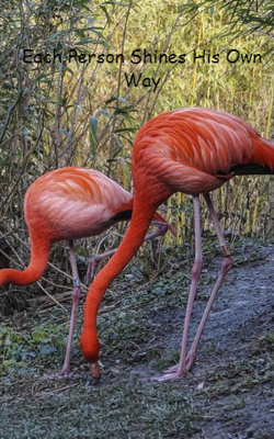 Each Person Shines His Own Way