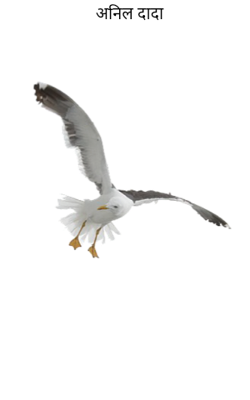 अनिल दादा