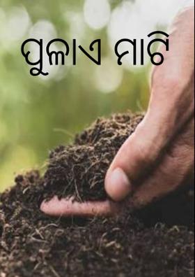 ପୁଳାଏ ମାଟି