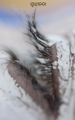 ସ୍ୱାଧୀନତା