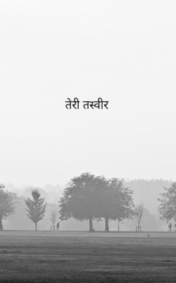 तेरी तस्वीर