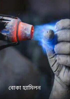 বোকা হ্যামিলন