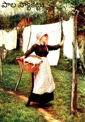 పాల ప్యాకెట్టు