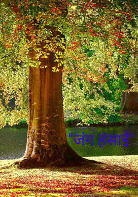 "जग हंसाई"