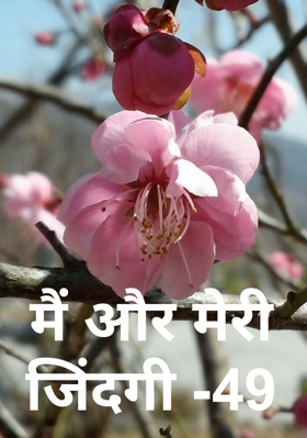 मैं और मेरी जिंदगी -49