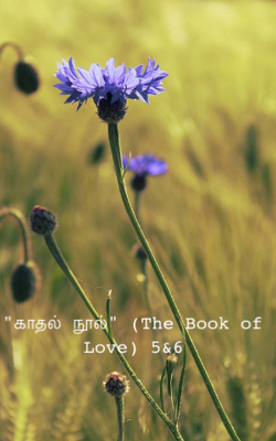 "காதல் நூல்" (The Book of Love) 5&6