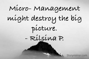 Micro- Management might destroy the big picture.
- Rilsina P.