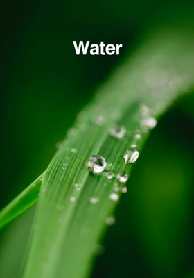 Water