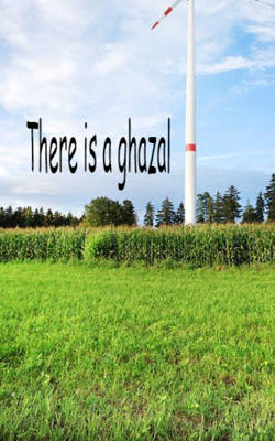 There is a Ghazal
