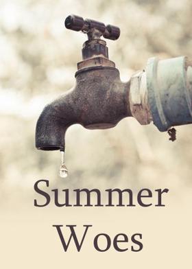 Summer Woes