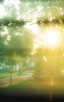 Missed Opportunities