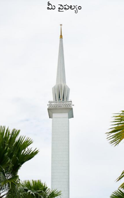 మీ వైఫల్యం