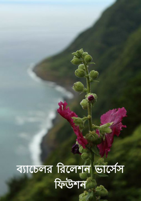 ব্যাচেলর রিলেশন ভার্সেস ফিউশন