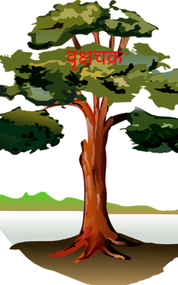 वृक्षचक्र