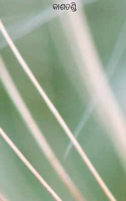 କାଶତଣ୍ଡି