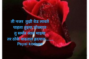 ती नजर  तुझी वेड लावते 
पाहता तुझ्या डोळ्यात 
तु समोर आल माझ्या 
तर ठोके वाढतात ह्रदयात.......
Payal kodape 