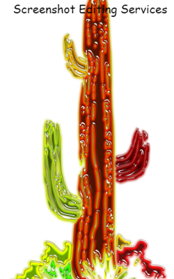 Screenshot Editing Services