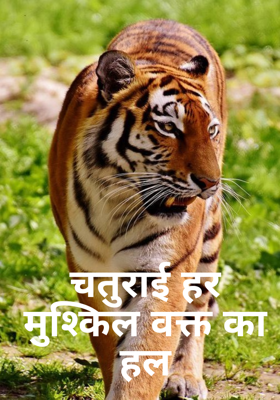 चतुराई हर मुश्किल वक्त का हल