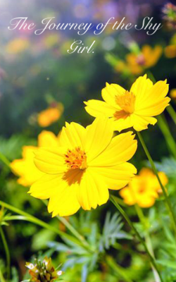 The Journey Of The Shy Girl