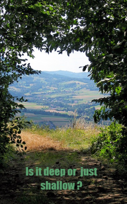 Is It Deep Or Merely Shallow