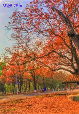 ଫଗୁଣ ଆସିଛି