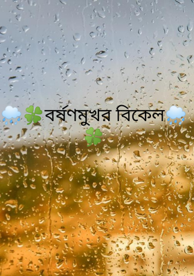 🌧️🍀বর্ষণমুখর বিকেল🌧️🍀