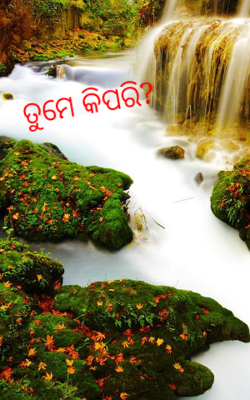 ତୁମେ କିପରି