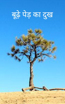 बूढ़े पेड़ का दुख